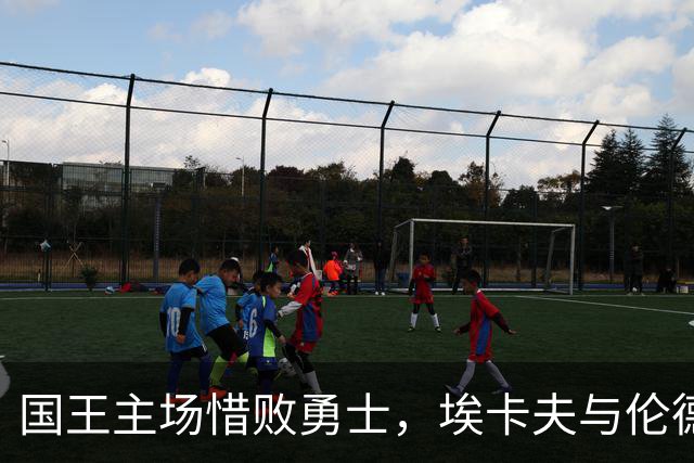 国王主场惜败勇士，埃卡夫与伦德伯格表现抢眼